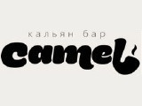  Camel  - ()
