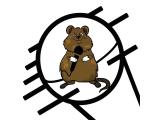 Логотип Quokka bar (Квокка) Логотип Quokka bar (Квокка)