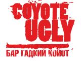       (Coyote Ugly   )