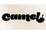  Camel  