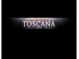 Логотип Остерия Тоскана (Osteria Toscana) Логотип Остерия Тоскана (Osteria Toscana)
