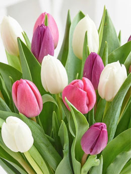 ��� ������������� 8 �����